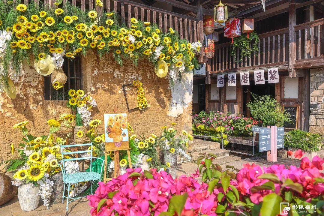 出圈！福州这里“花”样缤纷！