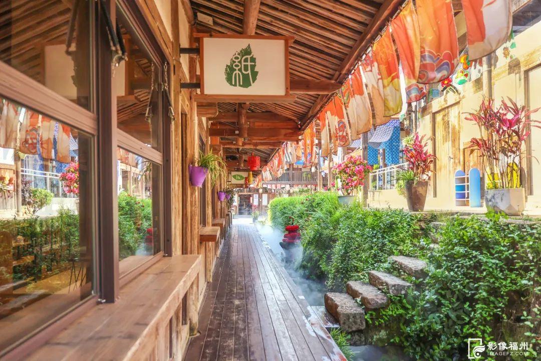 出圈！福州这里“花”样缤纷！