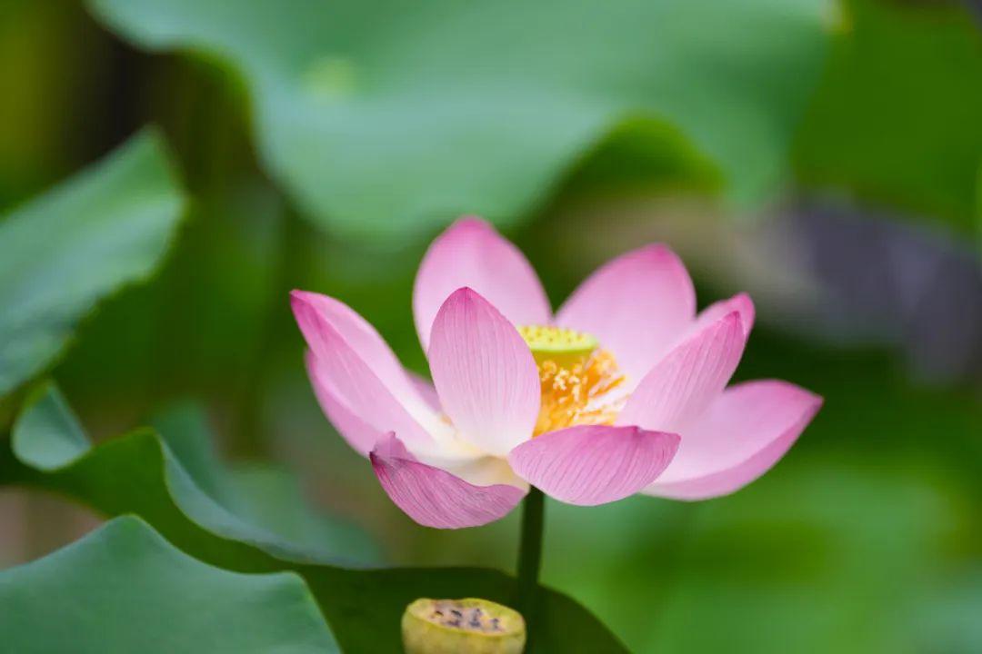 打卡！打卡！福州这些地方，好美啊！