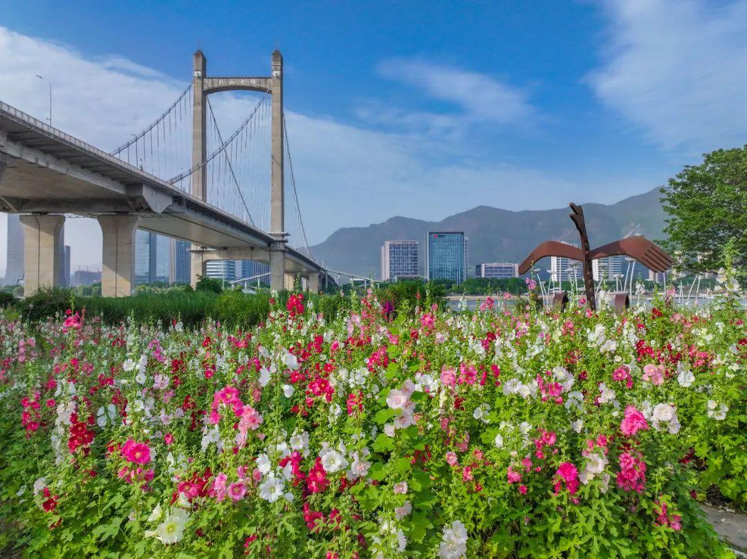 打卡！打卡！福州这些地方，好美啊！