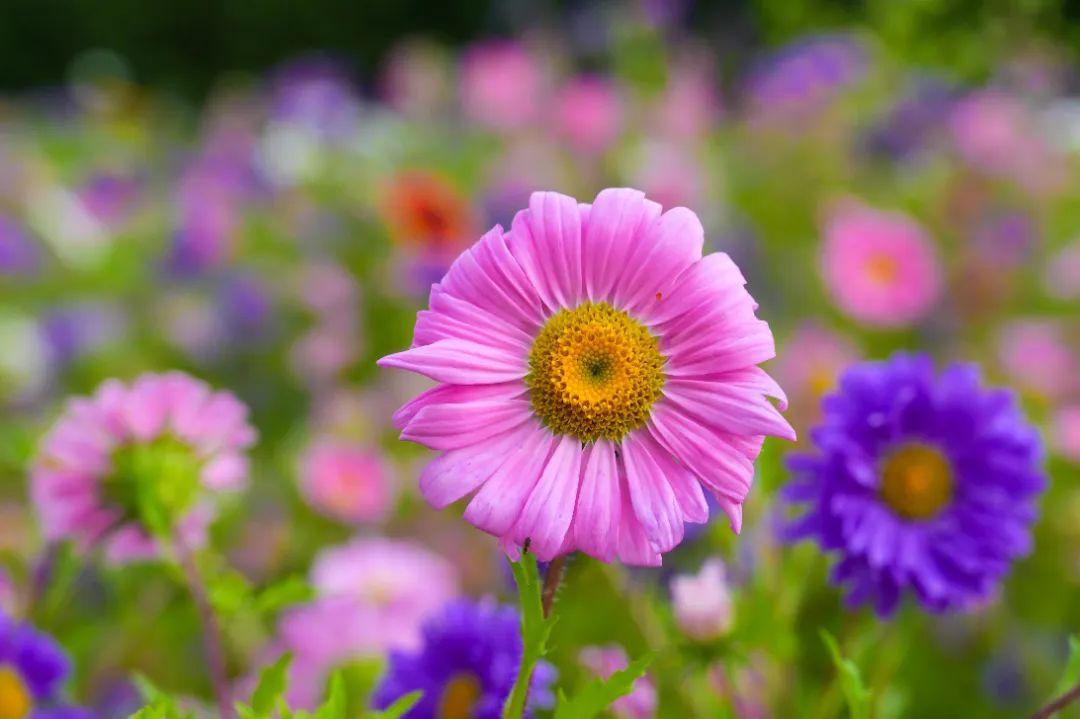 打卡！打卡！福州这些地方，好美啊！