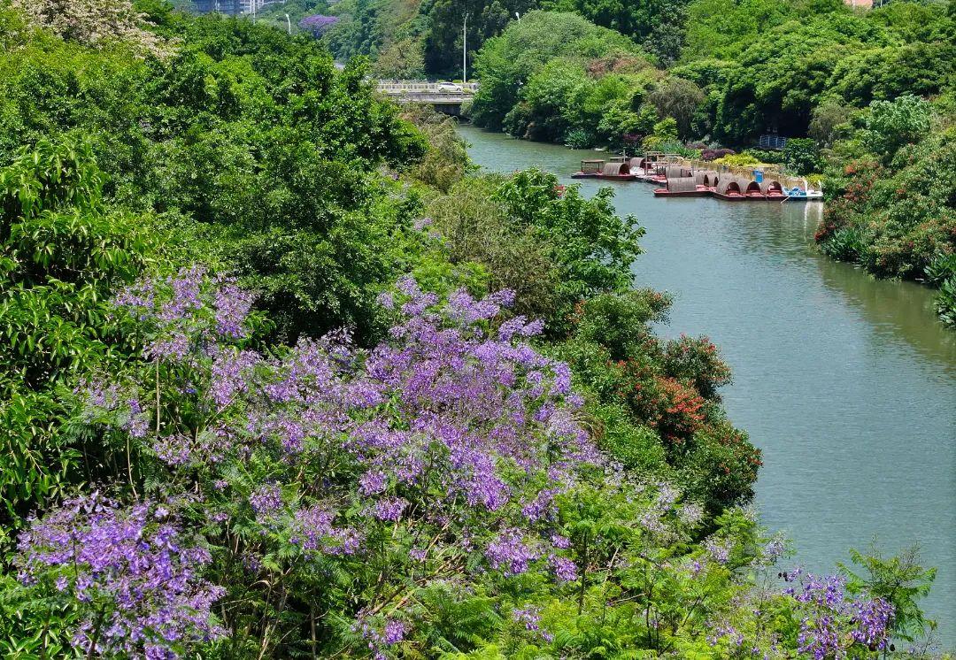 打卡！打卡！福州这些地方，好美啊！