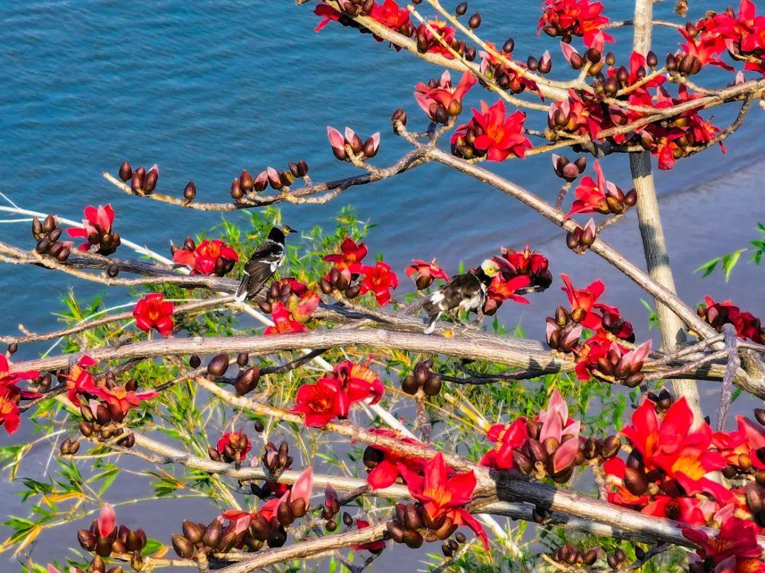 打卡！打卡！福州这些地方，好美啊！
