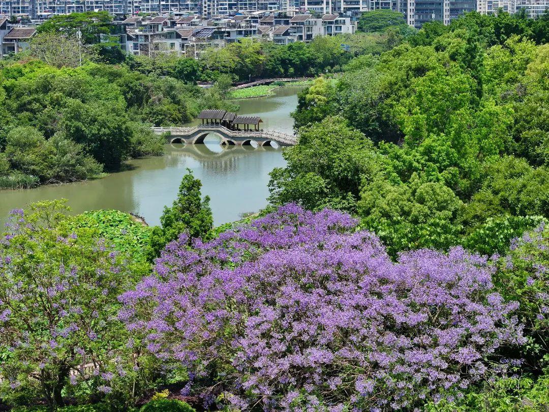 打卡！打卡！福州这些地方，好美啊！