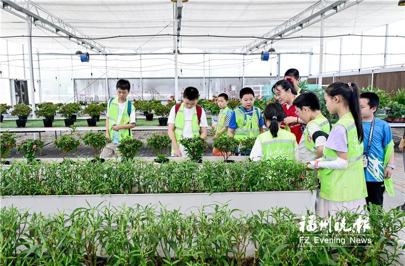 福州晚报写作训练营开展城市节水宣传周主题活动：守护美丽闽江 珍惜水资源