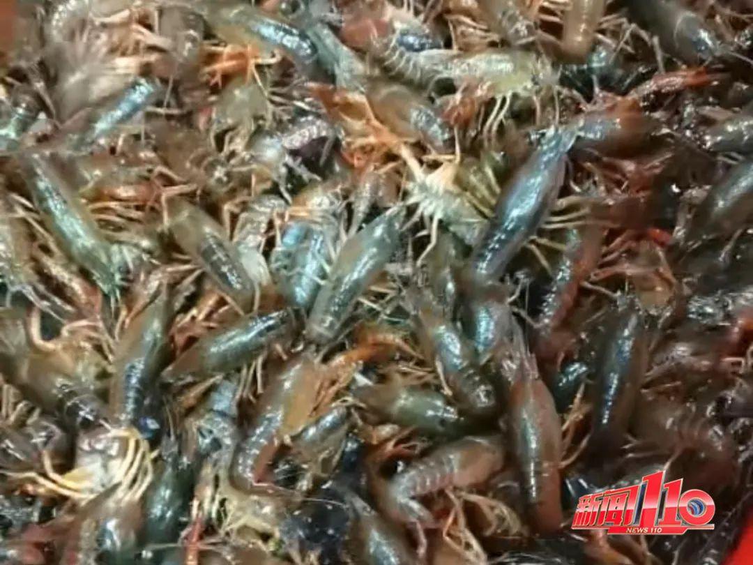 太火爆！福州人夏日宵夜“顶流”价格接近“腰斩”！别急，还会再降……