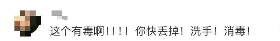 提醒！雨后遇到这种大蜗牛千万别碰