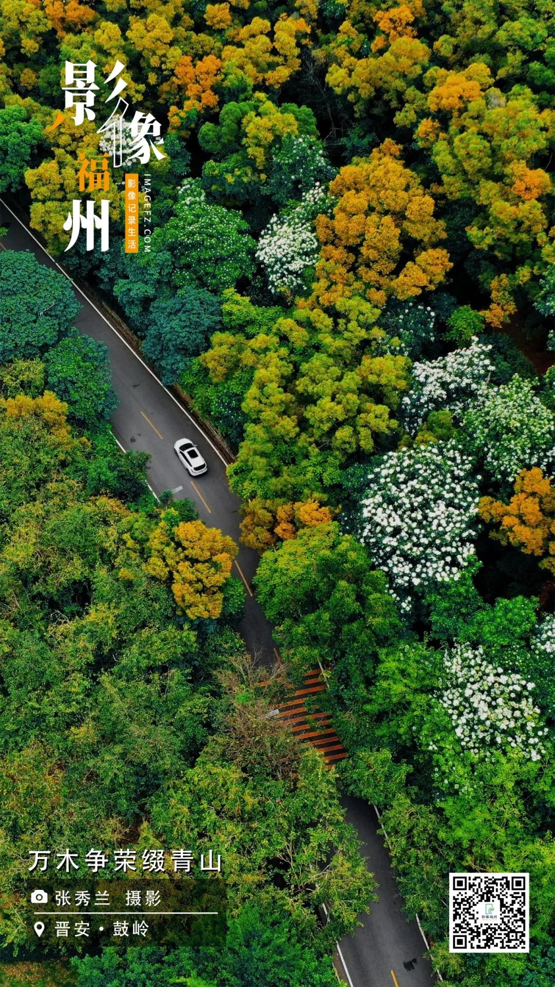 影像福州｜万木争荣缀青山