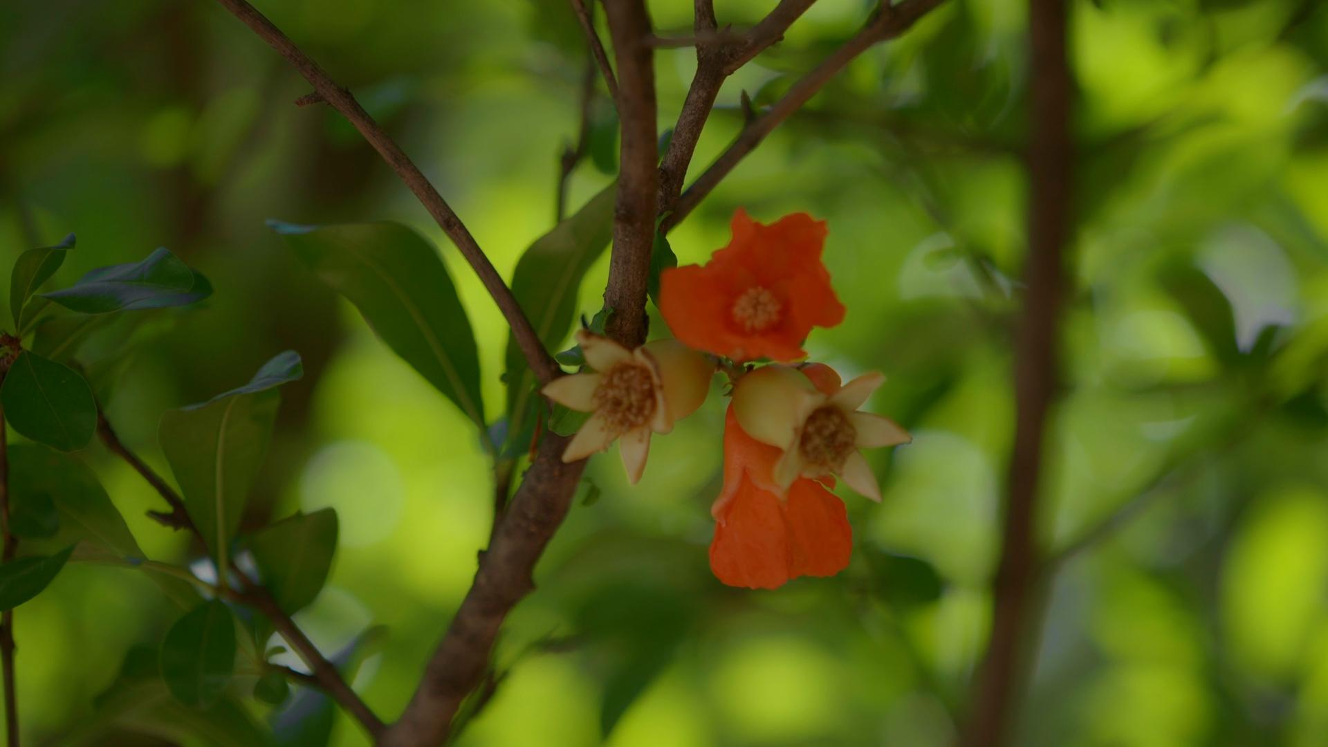 时政微视频 | 丝路新使 时政微视频 | 丝路新使
