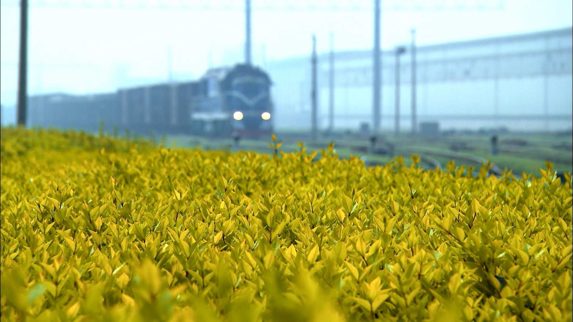 时政微视频 | 丝路新使 时政微视频 | 丝路新使