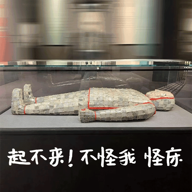 博物馆“憋笑指南” 博物馆“憋笑指南”