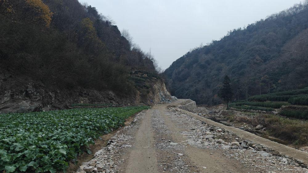 习近平总书记关切事｜打牢社会治理的文化根基