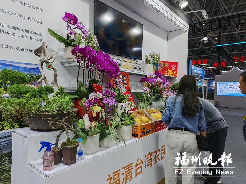 记者探访海交会：融合发展有热度 成果推介亮点多