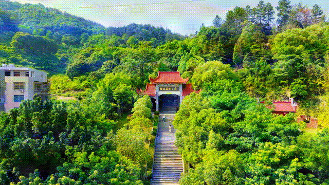 初夏时光，探秘梅城森林公园的诗意画卷