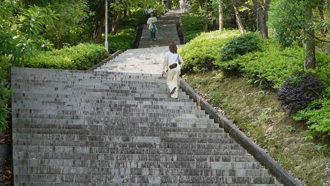 初夏时光，探秘梅城森林公园的诗意画卷