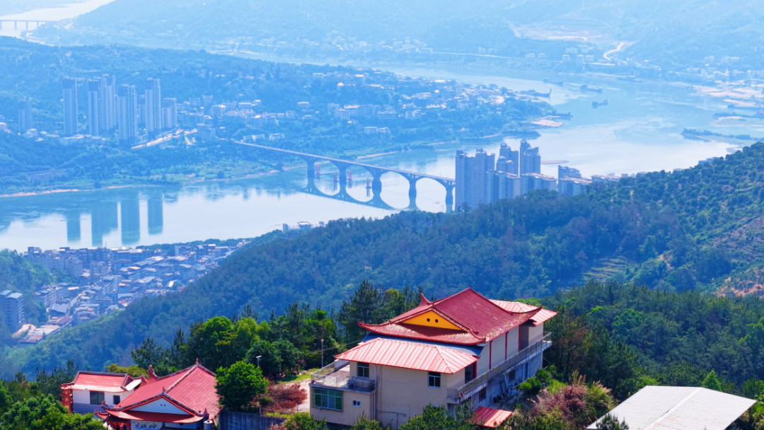 初夏时光，探秘梅城森林公园的诗意画卷