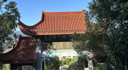 初夏时光，探秘梅城森林公园的诗意画卷