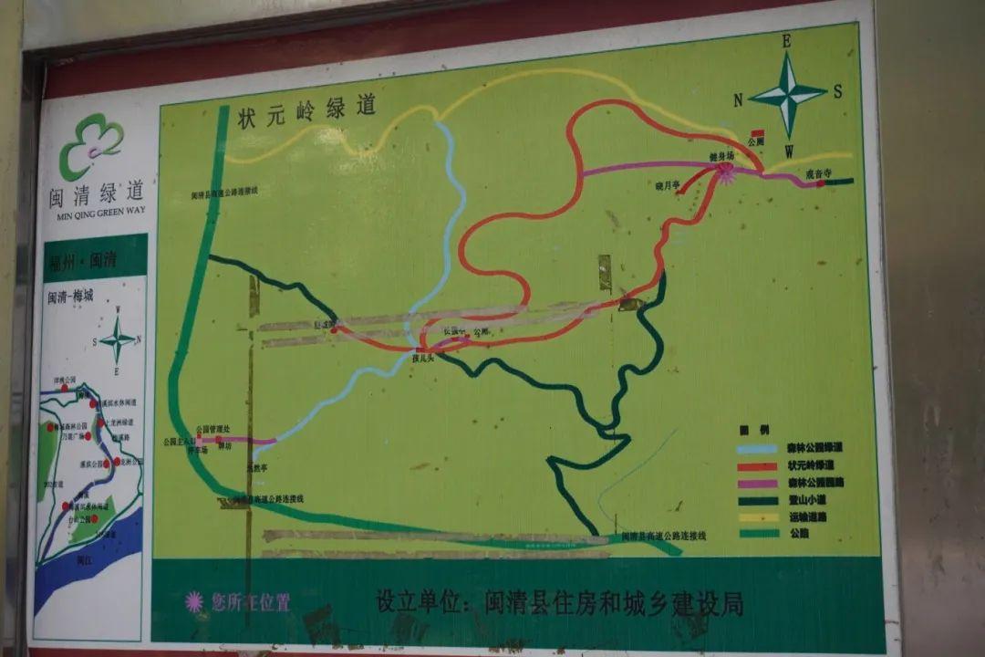 初夏时光，探秘梅城森林公园的诗意画卷