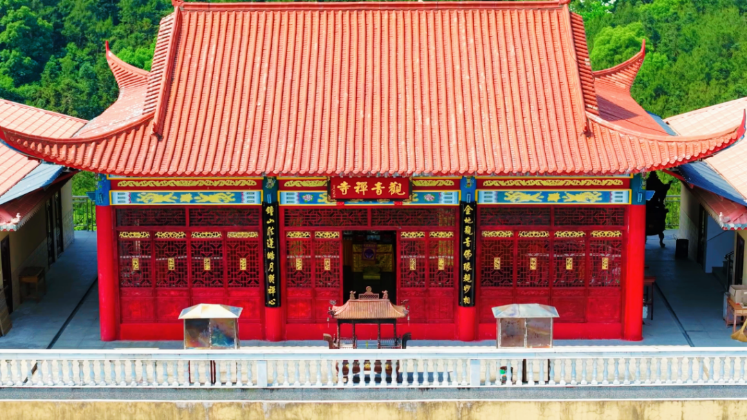 初夏时光，探秘梅城森林公园的诗意画卷