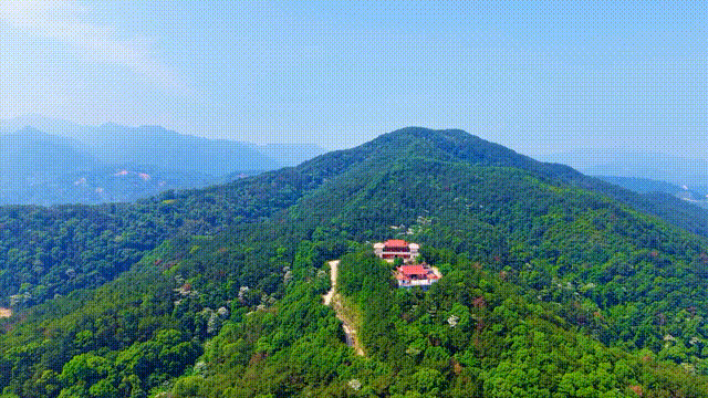 初夏时光，探秘梅城森林公园的诗意画卷