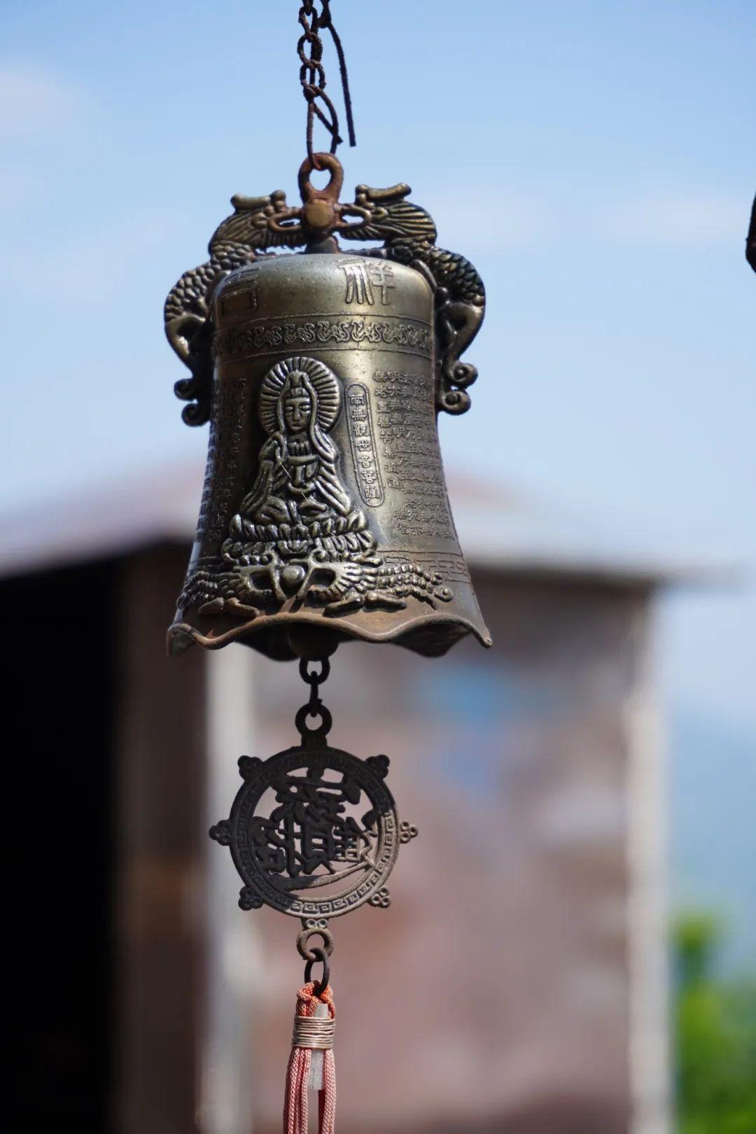 初夏时光，探秘梅城森林公园的诗意画卷