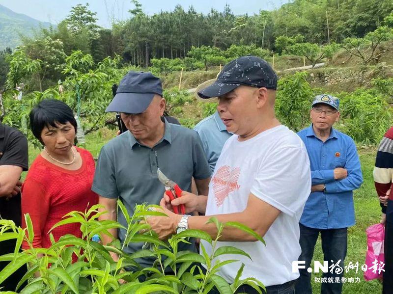 连江“庄稼医生”陈开端：“退休了还这么忙！”