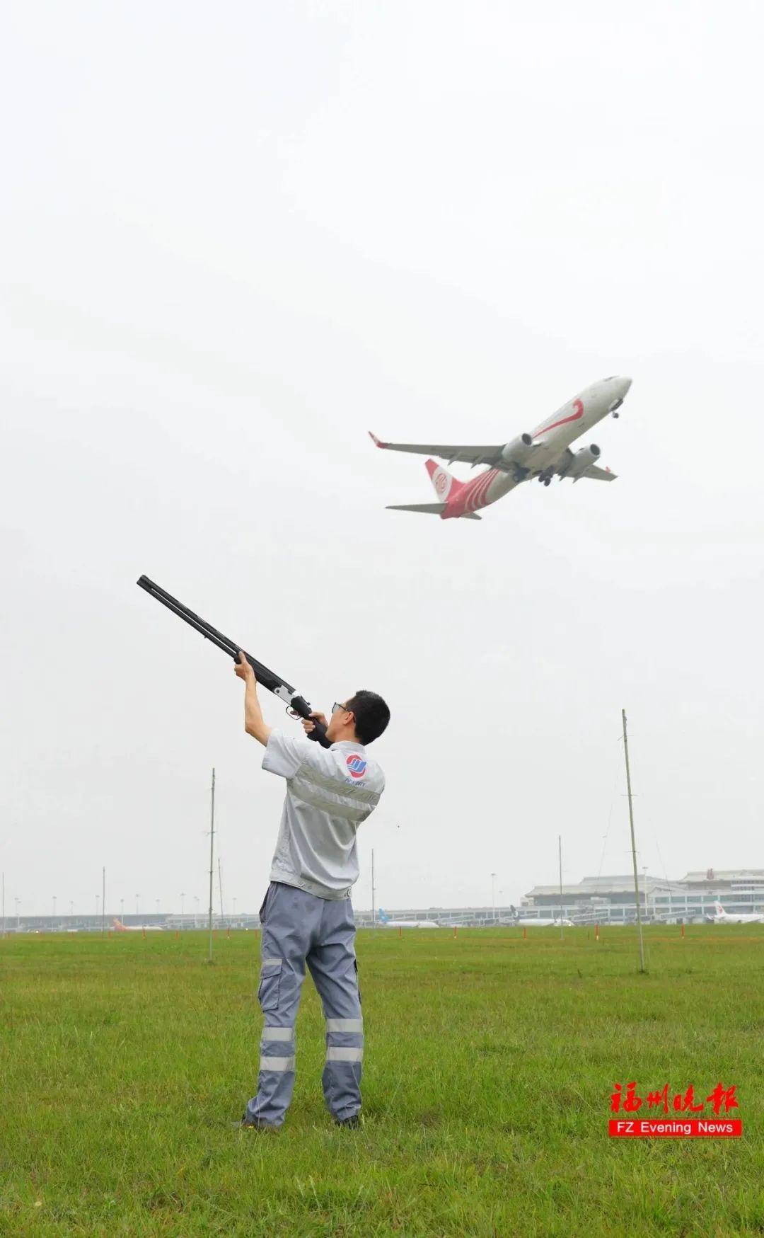 射击不瞄准，开枪不打鸟，福州这里每天都上演