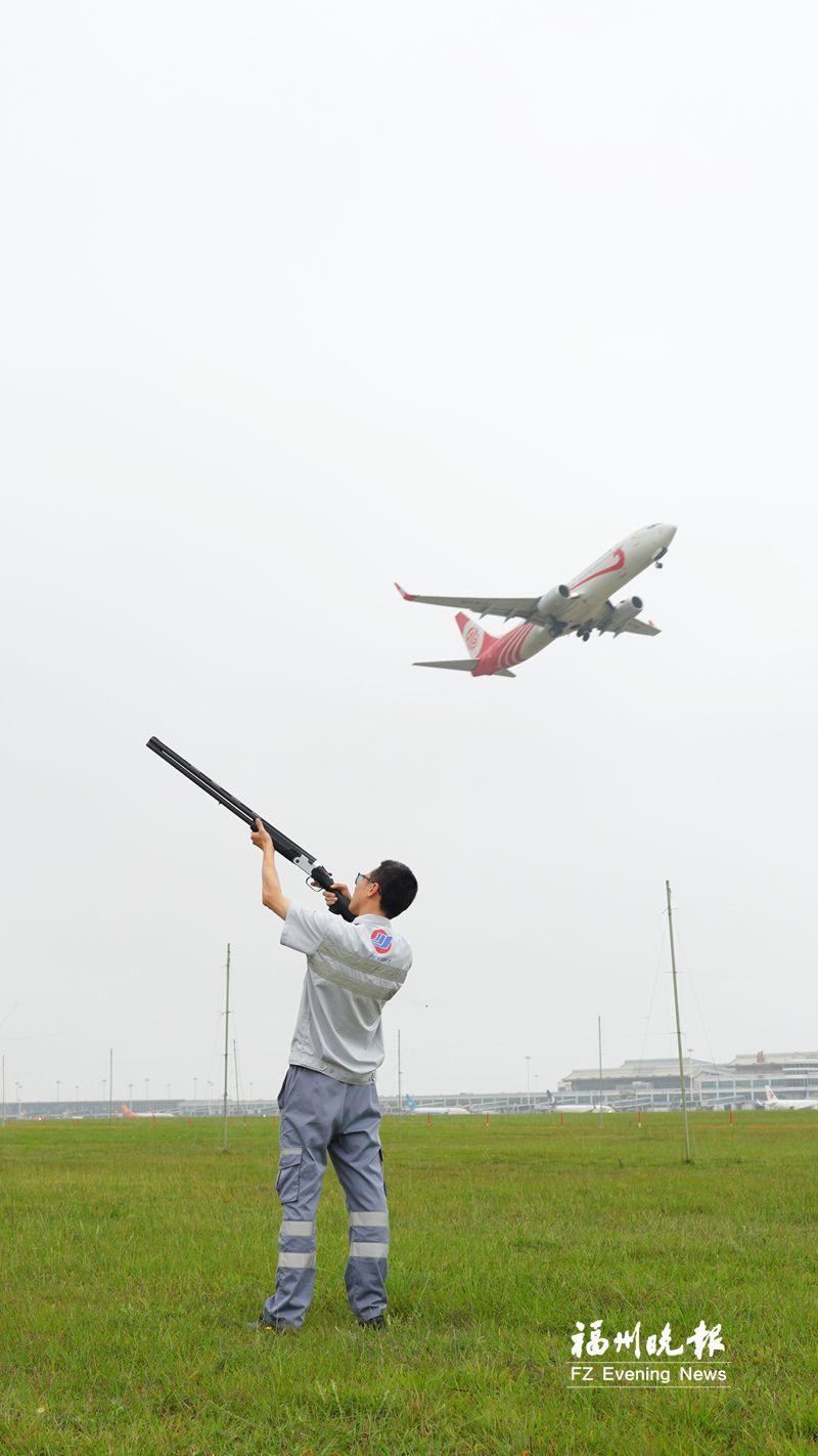 天高任鸟飞 在此是例外