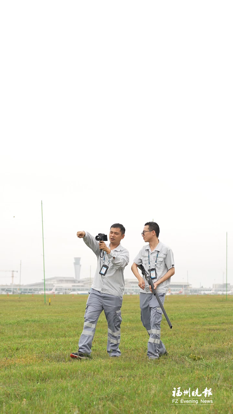 天高任鸟飞 在此是例外