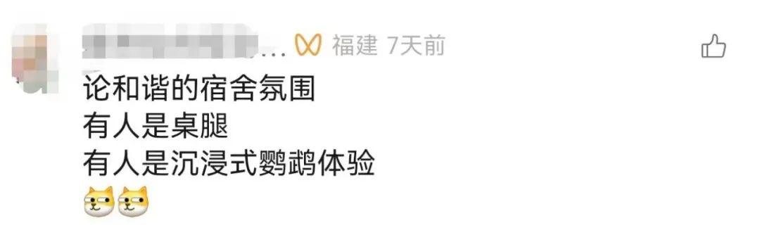 大学生200元的成本干了20亿的项目