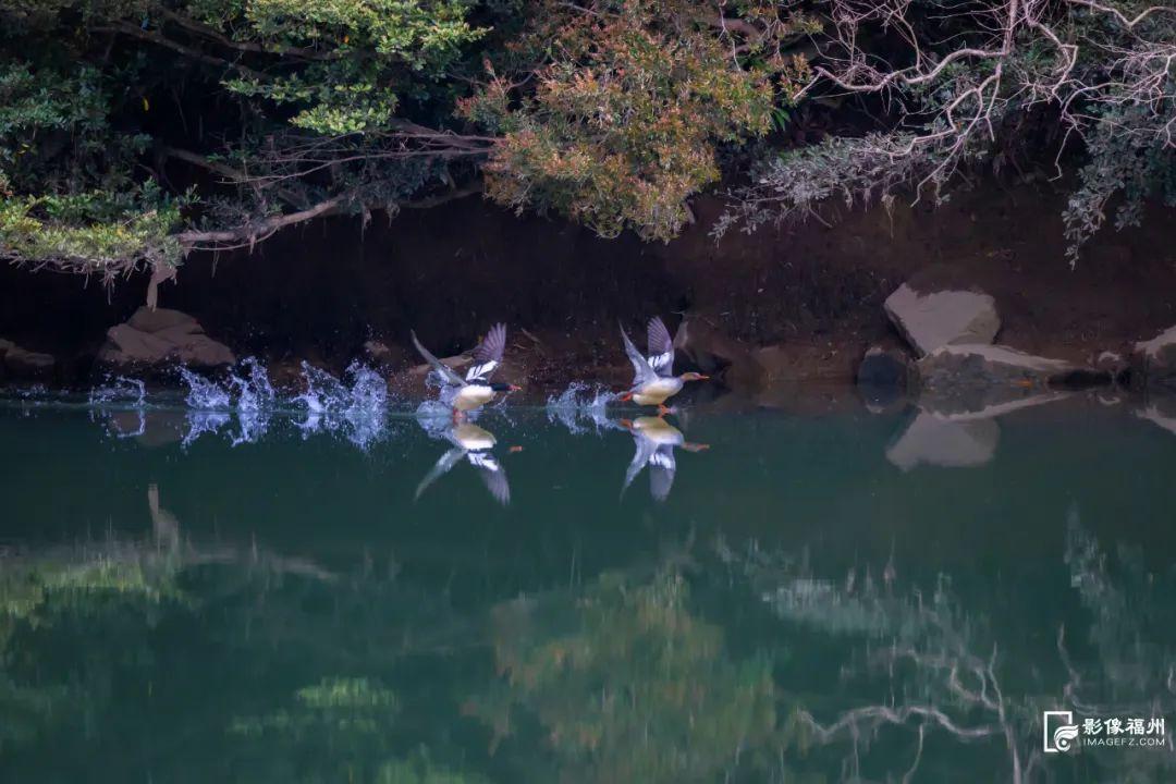 “生态福地 美丽福州”——生态环保主题摄影大赛获奖名单来了！