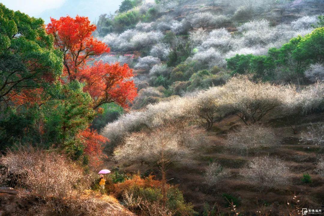 “生态福地 美丽福州”——生态环保主题摄影大赛获奖名单来了！