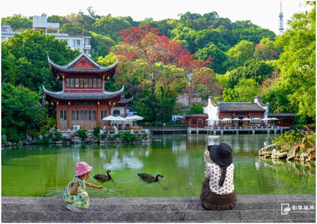 “生态福地 美丽福州”——生态环保主题摄影大赛获奖名单来了！