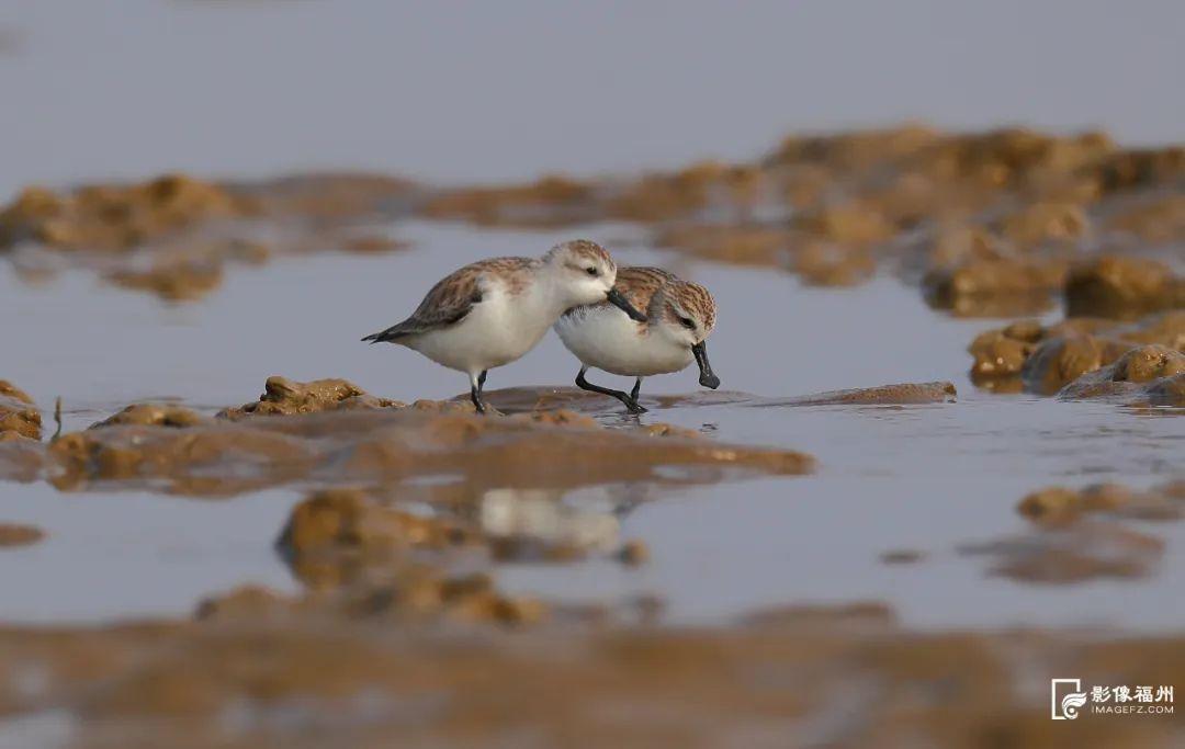“生态福地 美丽福州”——生态环保主题摄影大赛获奖名单来了！
