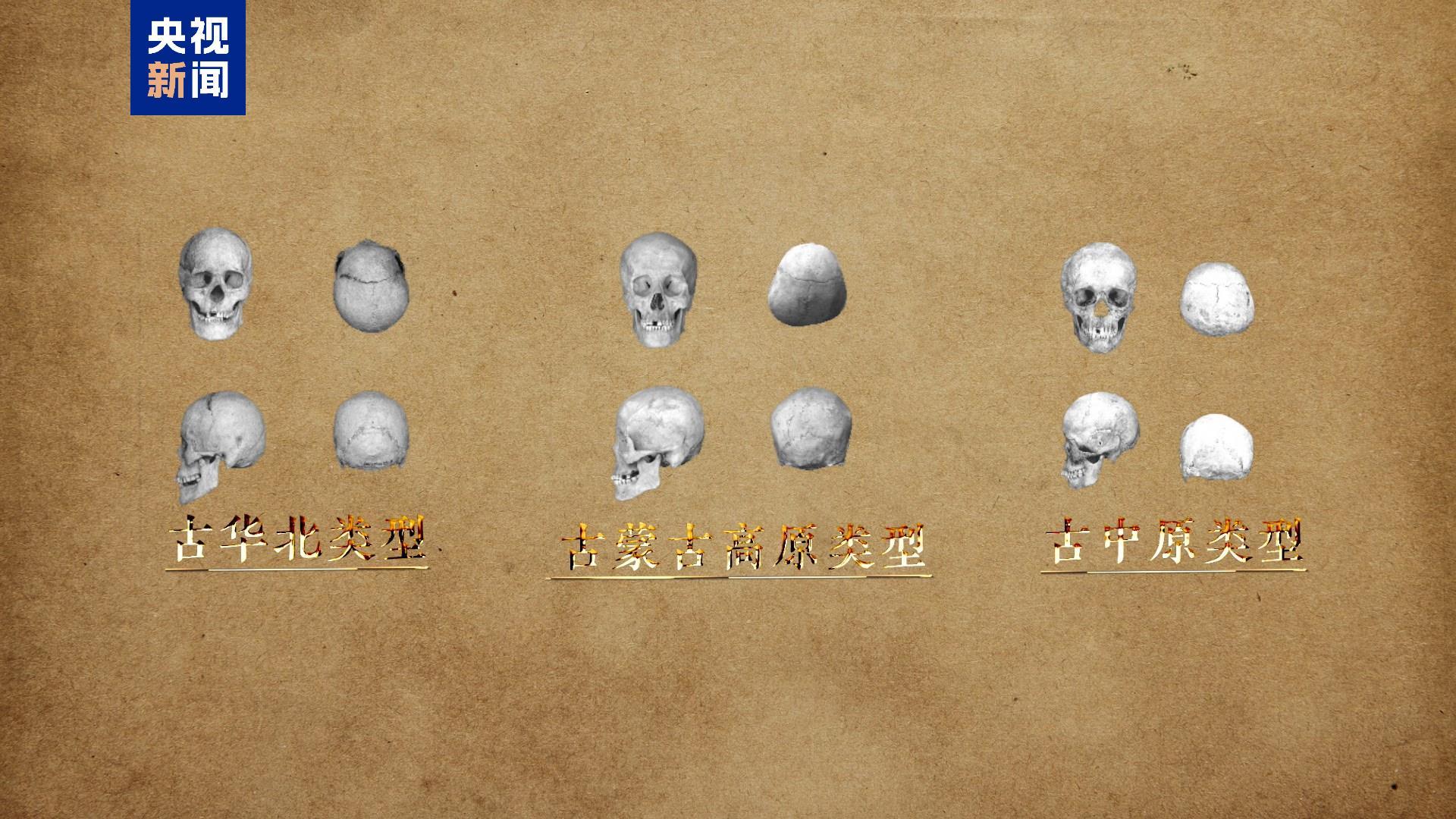 中国龙再添新形象、千年王冠重现……7项科技考古与文化遗产保护成果发布