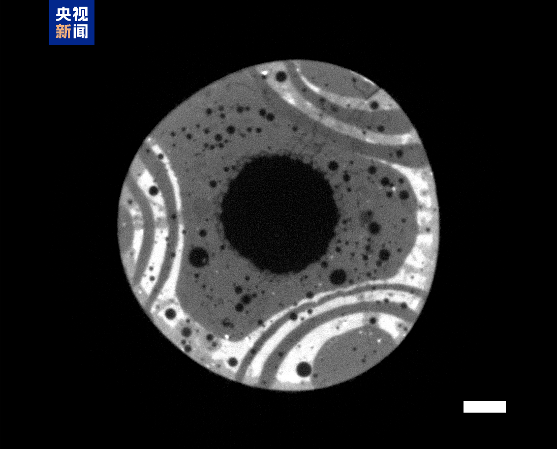 中国龙再添新形象、千年王冠重现……7项科技考古与文化遗产保护成果发布