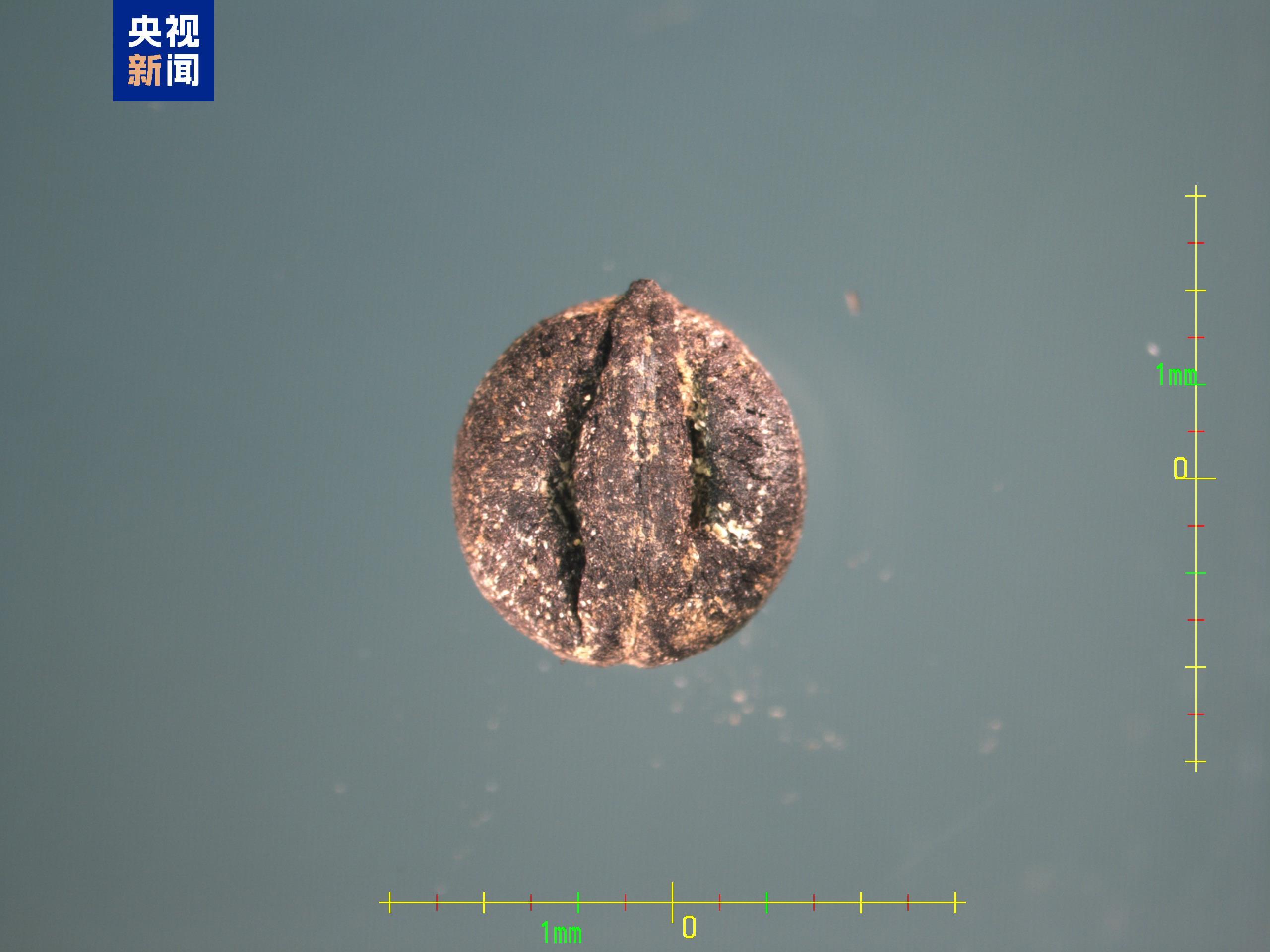 中国龙再添新形象、千年王冠重现……7项科技考古与文化遗产保护成果发布