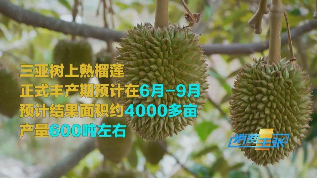 “水果之王”价格腰斩，还能再降！