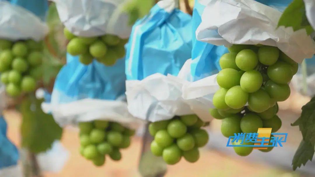 “水果之王”价格腰斩，还能再降！