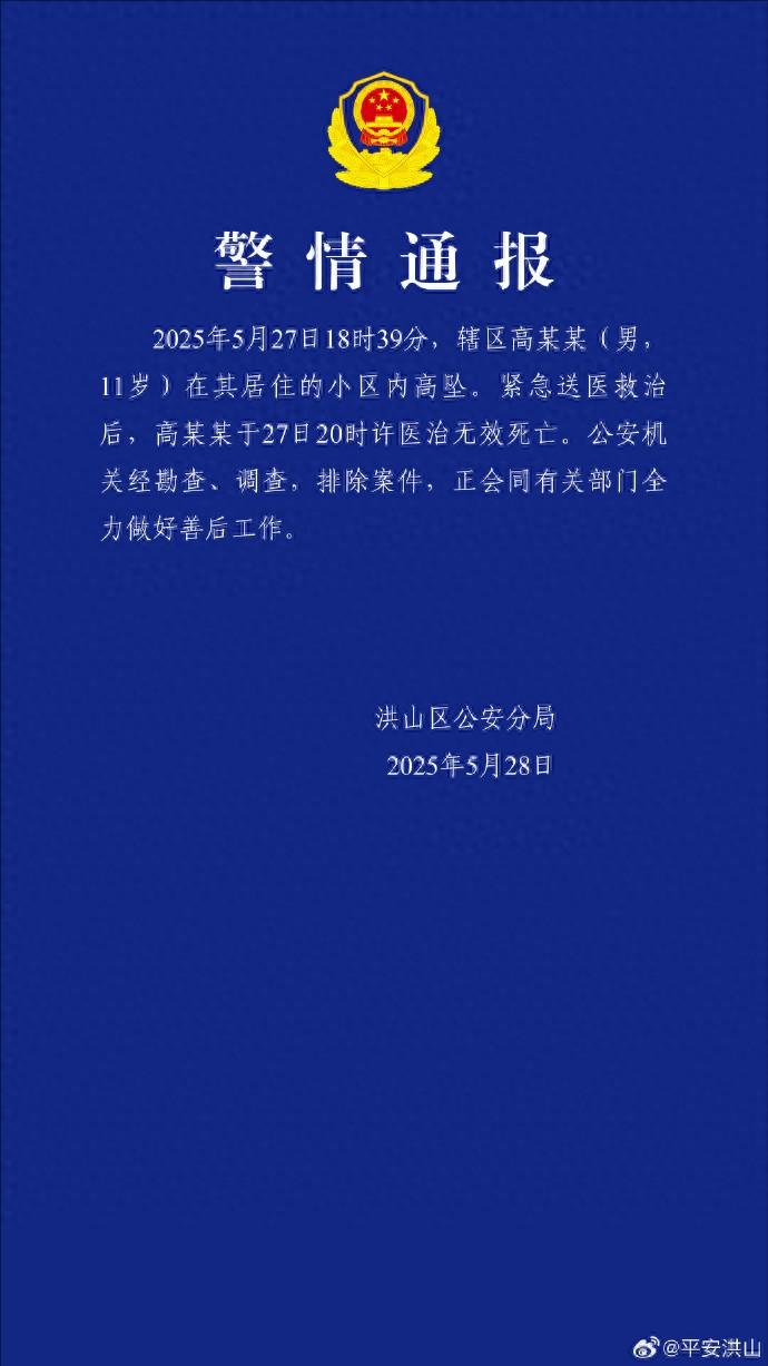 武汉一11岁男孩高坠身亡，警方通报
