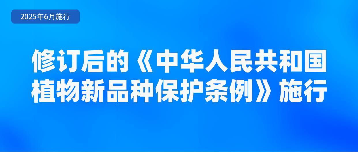 涉学前教育、人脸识别技术应用等 6月起这些新规将施行