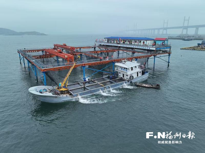 福州新型养殖平台的探索与突破：向深远海进击的“蓝色粮仓”