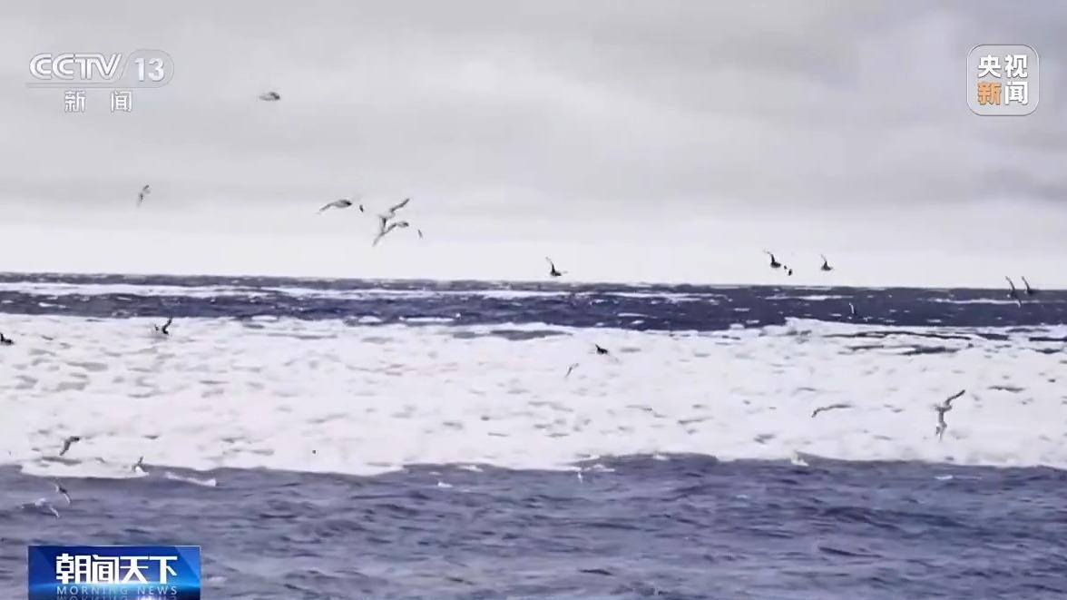 “雪龙2”号凯旋！中国第41次南极考察队顺利完成全部考察任务