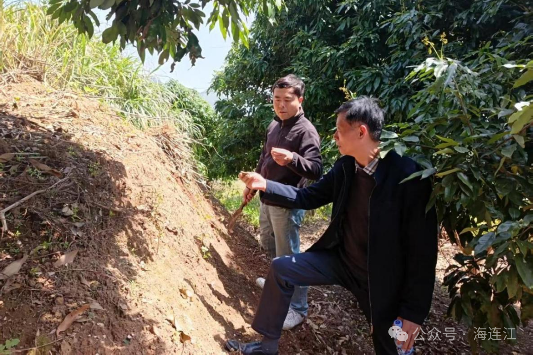 最新！福建发现两处史前遗址