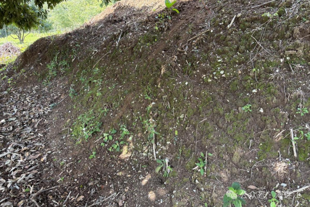 最新！福建发现两处史前遗址
