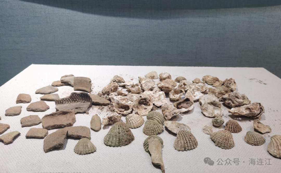 最新！福建发现两处史前遗址