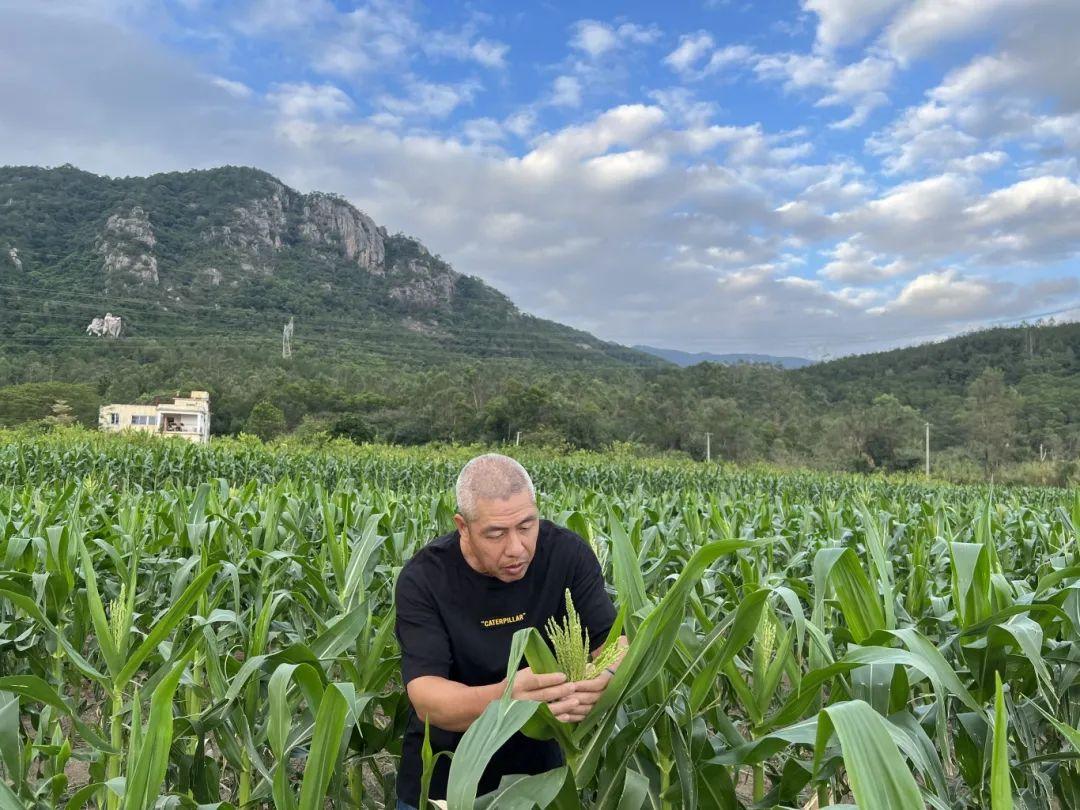 打造乡村振兴样板，描绘“厦门实践”同安画卷