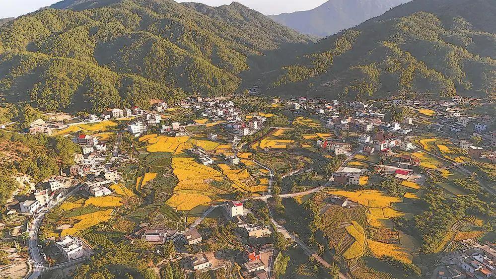 打造乡村振兴样板，描绘“厦门实践”同安画卷