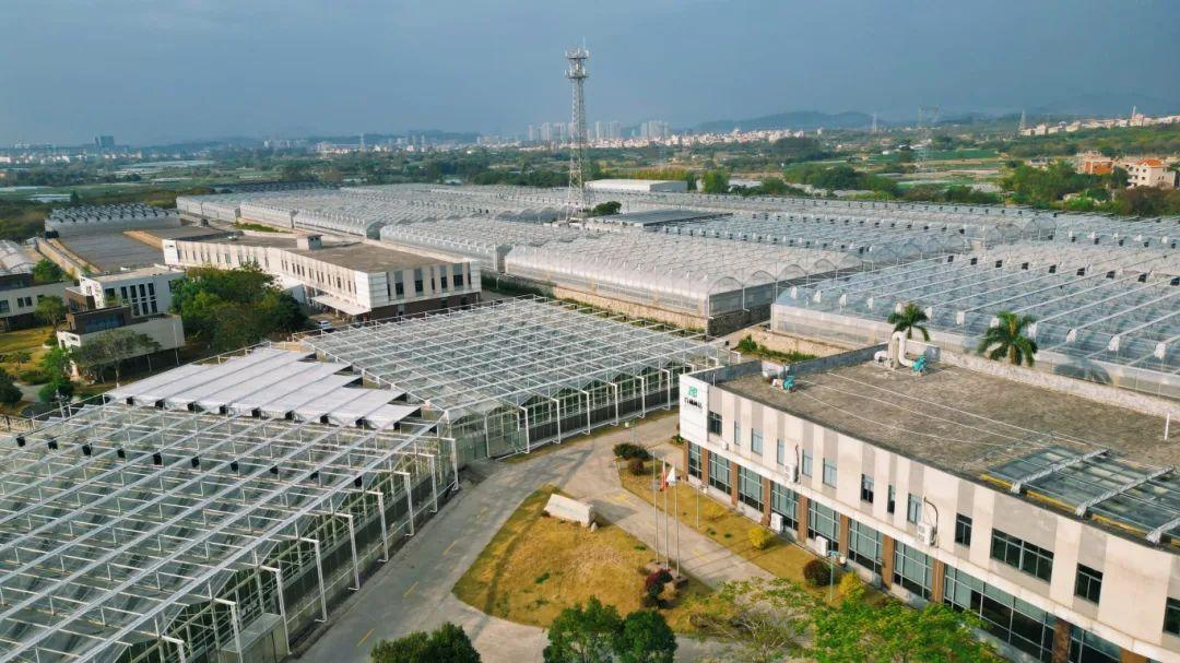 打造乡村振兴样板，描绘“厦门实践”同安画卷