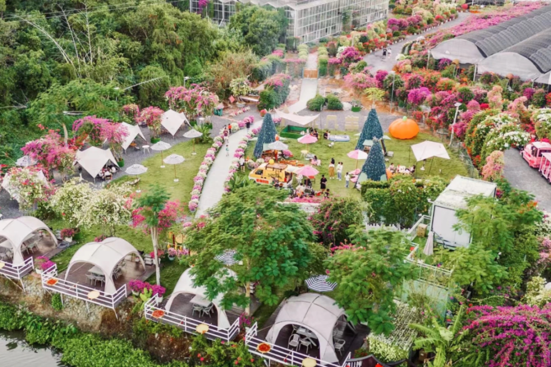 打造乡村振兴样板，描绘“厦门实践”同安画卷